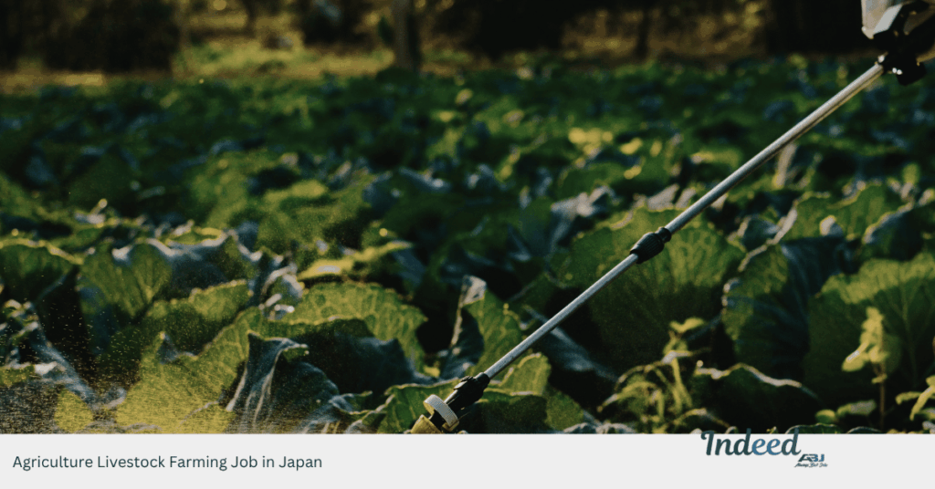 Agriculture Livestock Farming Job in Japan