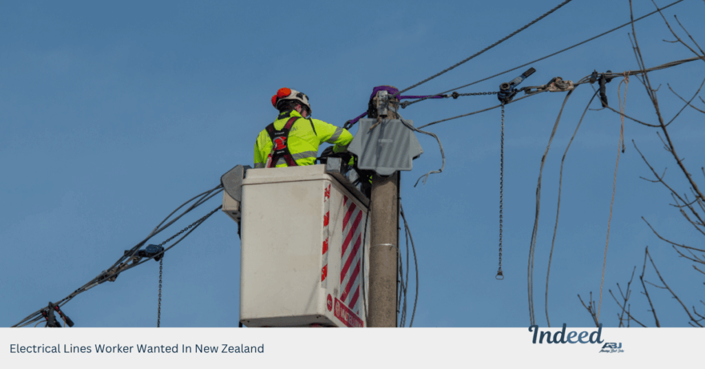 Electrical Lines Worker Wanted In New Zealand